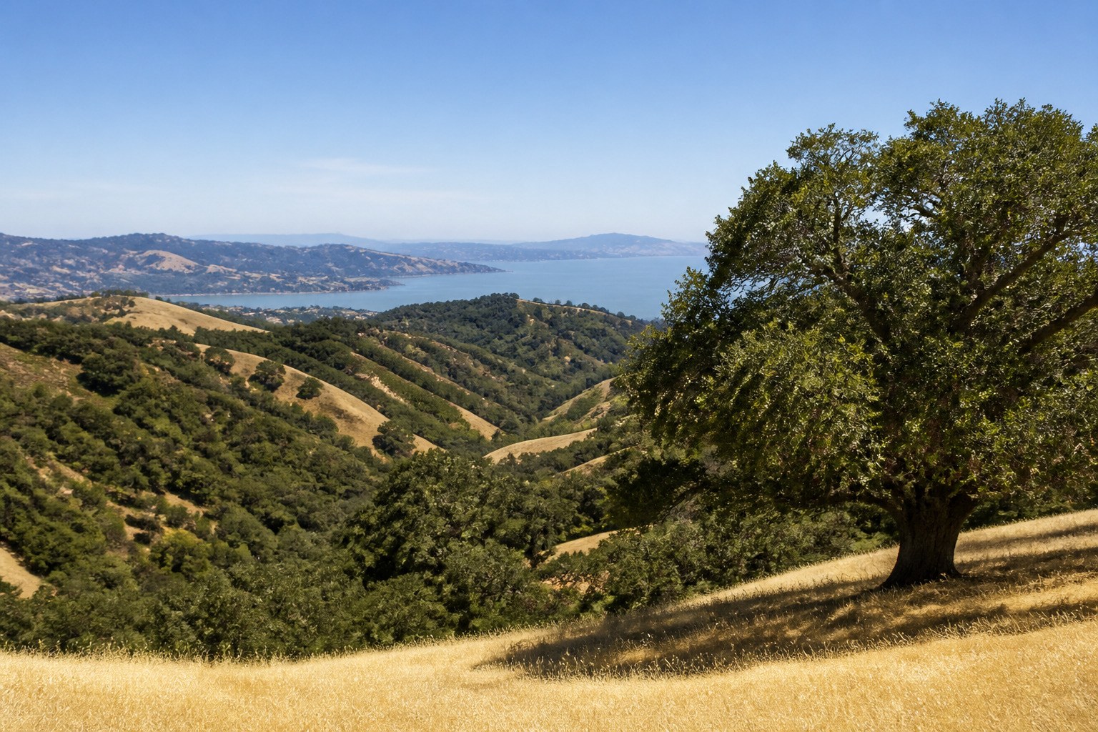 Contra Costa County, CA