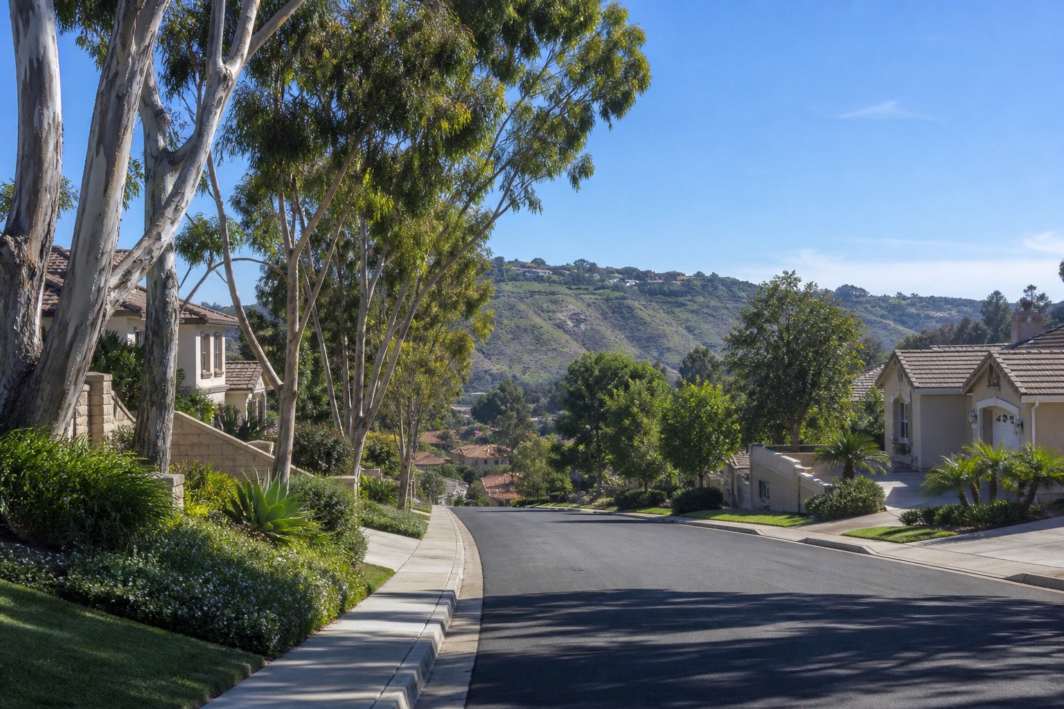 City of Laguna Hills